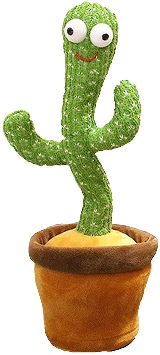 Dancing Cactus