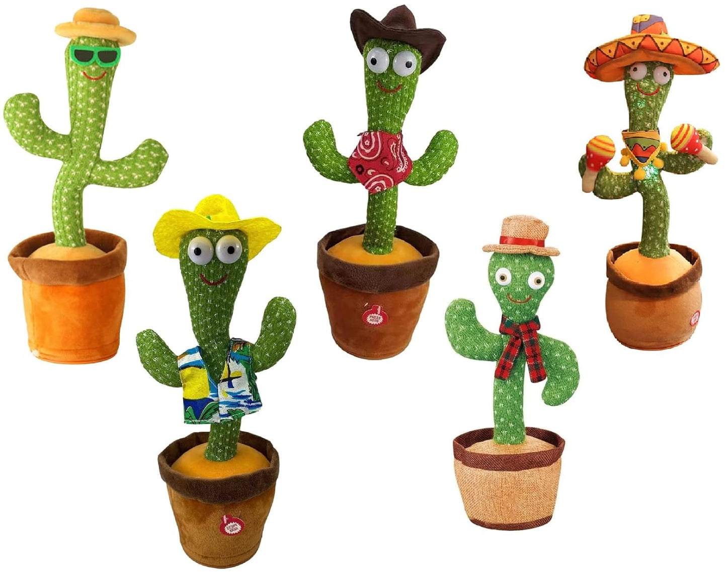 Dancing Cactus